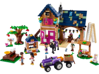 Lego Friends La Scatola del Cuore Estate di Mia 41388